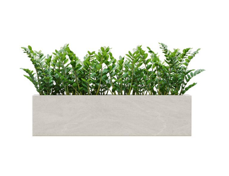 Green Rungis Pepiniere Rungis : Plantes et services pro chez Green Rungis