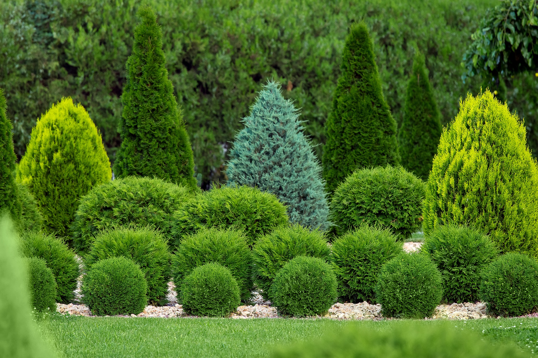 Green Rungis Plantes Rungis | jardin & extérieur pour professionnels