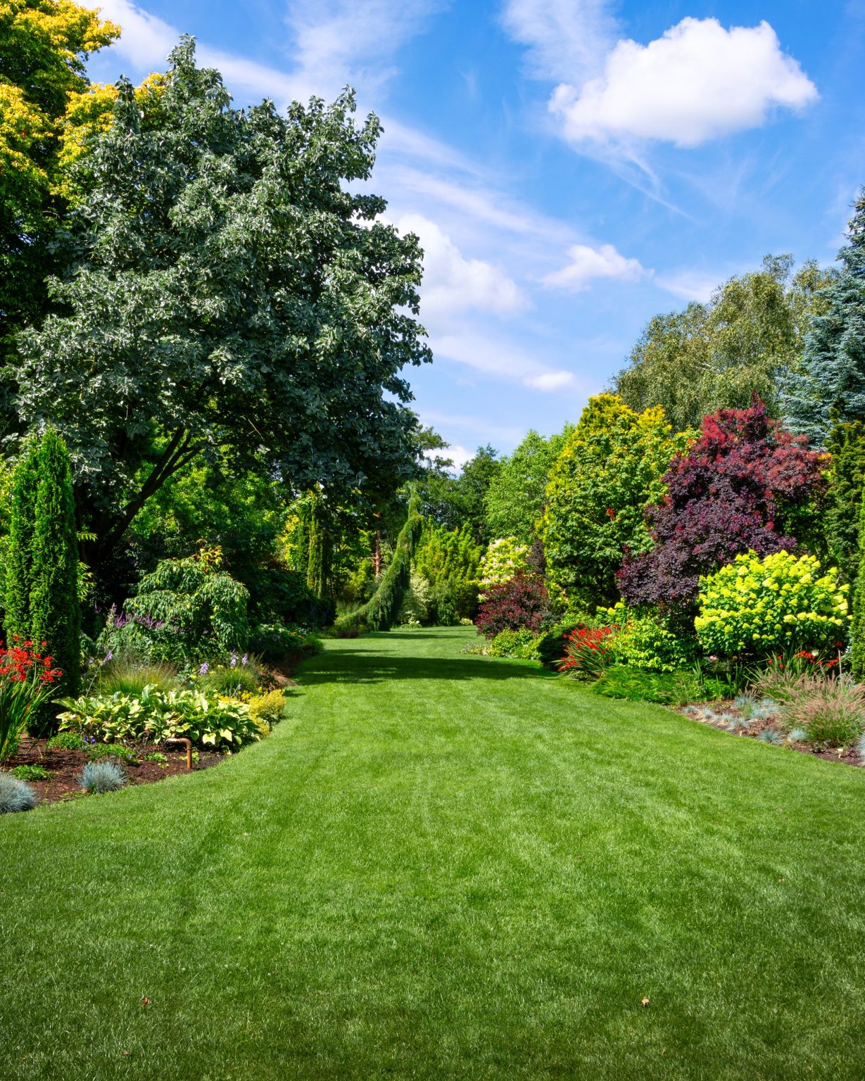 Green Rungis Plantes Rungis | jardin & extérieur pour professionnels