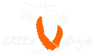 greenrungis-tansparent-blanc-orange